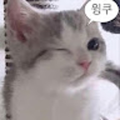 이영제