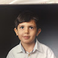 reza mehmandoust