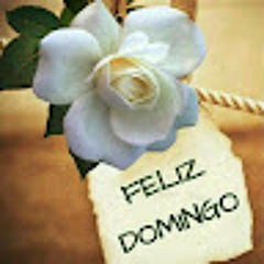 Felipe Rocha