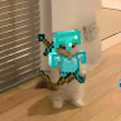 Abdyel De la cruz Barboza