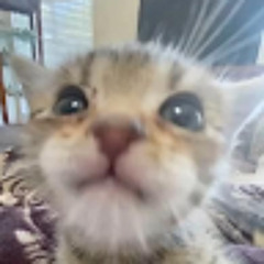 Марина Неупокоева