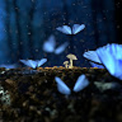 Đạt Nguyễn Hữu