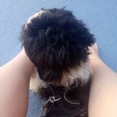 ^°~`V3røsīká_Sīmp`~°^