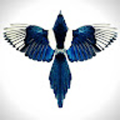 Blue Bird
