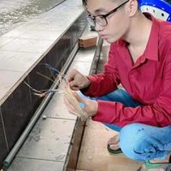 Cuong Anh Le