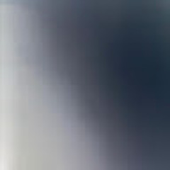 D D