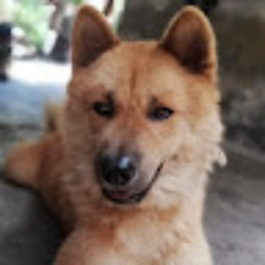 Long Thành Duơng