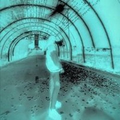 Fly