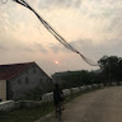 phát trần