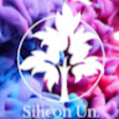 Silicon Un 2