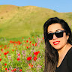 sara marvi