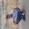 محمد الهادي