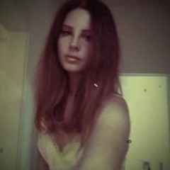 Sil Gyfd