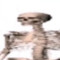 S1wY