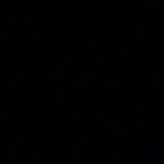 dondada