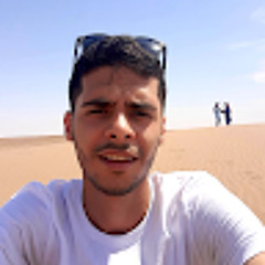 mohammad ali khoddam