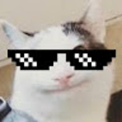 Gamer Vasion
