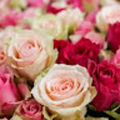 Safura safura İSSES