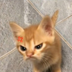 Thanh Diệu Vlogs