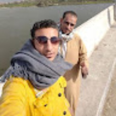 عمرو ابويوسف