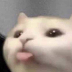 Son