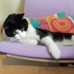 Marlene Cibrario Cellin