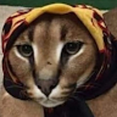 Дима Коломейцев