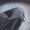 Raventime