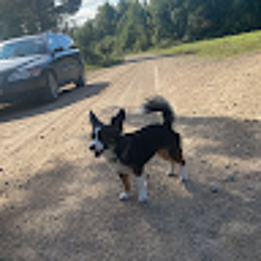 sabīne soroka