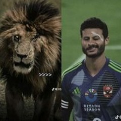 يوسف سمير السداوي