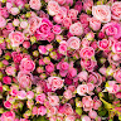 Евлампия Рукосуева