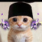 Herul