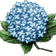 omanko misete