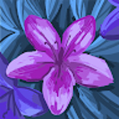 Сакіра Торорна