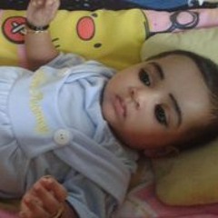 Faisal P Malodan