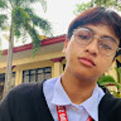 Raizen Flores