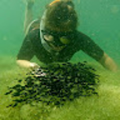 Romane Boymond-Morales