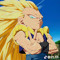 cashproducer31
