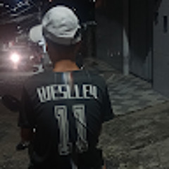 wsz