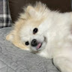 이주연