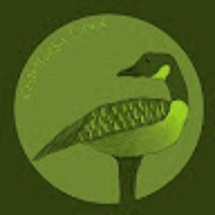 Chartreuse Goose