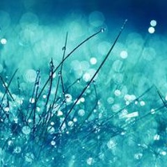 اسماعيل حسن