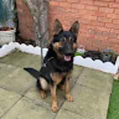 HyunjinIsMineForever