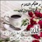 Awais Wajid
