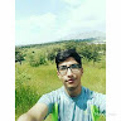 Mahdi Madandar