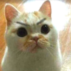 짐혜