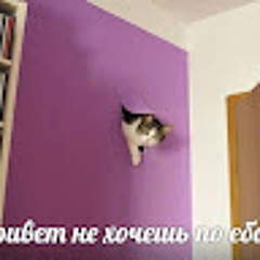 Ярослав Солнечный