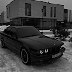 Эльвира Санивська