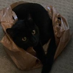 Azzy Walker