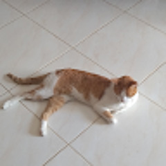 samuel BedoyaVillada